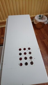 DSC_0880[1].JPG (1934 просмотра) <a class='original' href='./download/file.php?id=194433&mode=view' target=_blank>Загрузить оригинал (5.69 МБ)</a>