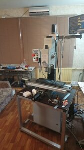 DSC_1168.JPG (1354 просмотра) <a class='original' href='./download/file.php?id=194610&mode=view' target=_blank>Загрузить оригинал (6.92 МБ)</a>