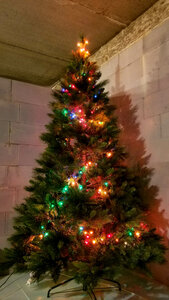 2019-12-24 01-40-12.jpg (77354 просмотра) <a class='original' href='./download/file.php?id=194775&mode=view' target=_blank>Загрузить оригинал (299.79 КБ)</a>