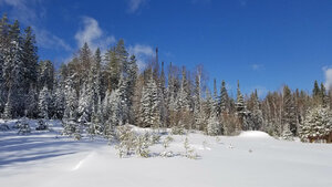 2020-03-17 11-27-02.jpg (77305 просмотров) <a class='original' href='./download/file.php?id=194807&mode=view' target=_blank>Загрузить оригинал (445.72 КБ)</a>