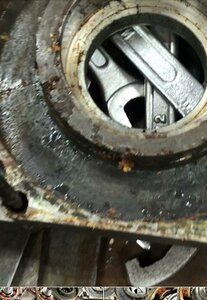 WhatsApp Image 2021-04-28 at 12.48.43 (3).jpeg (415 просмотров) <a class='original' href='./download/file.php?id=195081&mode=view' target=_blank>Загрузить оригинал (90.87 КБ)</a>