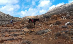 IMAG0598.jpg (2067 просмотров) <a class='original' href='./download/file.php?id=19566&mode=view' target=_blank>Загрузить оригинал (1.1 МБ)</a>