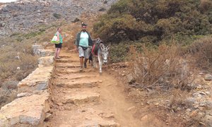 IMAG0595.jpg (2067 просмотров) <a class='original' href='./download/file.php?id=19567&mode=view' target=_blank>Загрузить оригинал (1.42 МБ)</a>