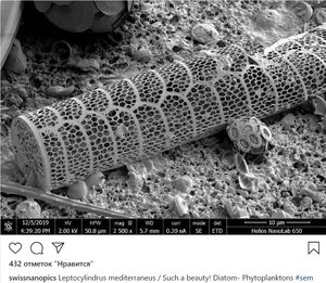 logo1.jpg (1673 просмотра) <a class='original' href='./download/file.php?id=196039&mode=view' target=_blank>Загрузить оригинал (486.72 КБ)</a>