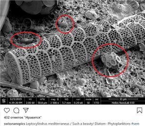 logo1.jpg (3107 просмотров) <a class='original' href='./download/file.php?id=196042&mode=view' target=_blank>Загрузить оригинал (299.48 КБ)</a>