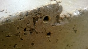 WP_20131016_006.jpg (2700 просмотров) <a class='original' href='./download/file.php?id=19701&mode=view' target=_blank>Загрузить оригинал (2.23 МБ)</a>