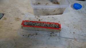 DSC_0025.JPG (143621 просмотр) <a class='original' href='./download/file.php?id=198393&mode=view' target=_blank>Загрузить оригинал (2.8 МБ)</a>