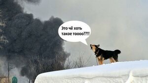 BrUj007IUAAMkaq.jpg (1214 просмотров) <a class='original' href='./download/file.php?id=199026&mode=view' target=_blank>Загрузить оригинал (22.85 КБ)</a>