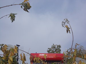 DSCN2121.JPG (3262 просмотра) <a class='original' href='./download/file.php?id=19919&mode=view' target=_blank>Загрузить оригинал (309.74 КБ)</a>