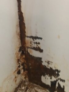 за свою жизнь такой качественой покраски не стречал (2441 просмотр) <a class='original' href='./download/file.php?id=199243&mode=view' target=_blank>Загрузить оригинал (67.69 КБ)</a>