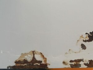 Ua99aa8fb1ed04581a8ea493a997ffbc00.jpeg (2441 просмотр) <a class='original' href='./download/file.php?id=199245&mode=view' target=_blank>Загрузить оригинал (76.53 КБ)</a>