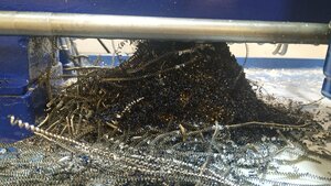 2021-03-14 18.55.03.jpg (12320 просмотров) <a class='original' href='./download/file.php?id=200103&mode=view' target=_blank>Загрузить оригинал (4.48 МБ)</a>