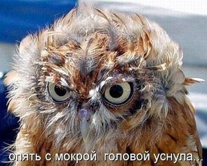 getImage (3).jpg (2745 просмотров) <a class='original' href='./download/file.php?id=20025&mode=view' target=_blank>Загрузить оригинал (59.52 КБ)</a>