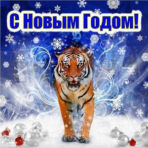 С Новым 22 годом.jpg (2517 просмотров) <a class='original' href='./download/file.php?id=200887&mode=view' target=_blank>Загрузить оригинал (107.36 КБ)</a>