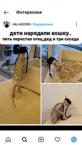 Screenshot_2022-01-27-01-43-32.png (2137 просмотров) <a class='original' href='./download/file.php?id=201370&mode=view' target=_blank>Загрузить оригинал (927.95 КБ)</a>