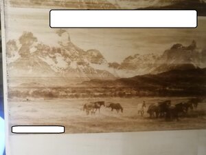 IMG-20220427-WA0006_1.jpg (3923 просмотра) <a class='original' href='./download/file.php?id=203104&mode=view' target=_blank>Загрузить оригинал (157.02 КБ)</a>