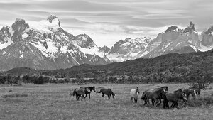 Казахстан1.jpg (3923 просмотра) <a class='original' href='./download/file.php?id=203105&mode=view' target=_blank>Загрузить оригинал (196.6 КБ)</a>