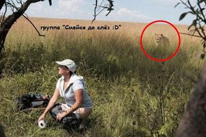 getImage (1).jpg (2805 просмотров) <a class='original' href='./download/file.php?id=20465&mode=view' target=_blank>Загрузить оригинал (51.25 КБ)</a>