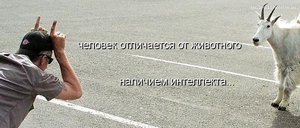 vv.jpg (2128 просмотров) <a class='original' href='./download/file.php?id=20487&mode=view' target=_blank>Загрузить оригинал (67.99 КБ)</a>