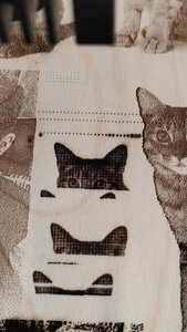 WhatsApp_Image_2022-10-24_at_18_00_05.jpg (1839 просмотров) <a class='original' href='./download/file.php?id=205296&mode=view' target=_blank>Загрузить оригинал (284.11 КБ)</a>