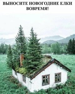 ff04cec2-a2a3-4c52-bc78-7577ddb15eb8.jpg (4494 просмотра) <a class='original' href='./download/file.php?id=206371&mode=view' target=_blank>Загрузить оригинал (83.26 КБ)</a>