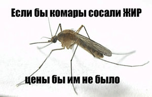 123.jpeg (2907 просмотров) <a class='original' href='./download/file.php?id=20674&mode=view' target=_blank>Загрузить оригинал (45.97 КБ)</a>