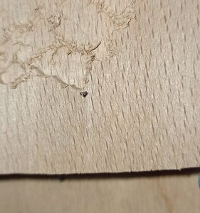 Фото 2.jpg (4385 просмотров) <a class='original' href='./download/file.php?id=207304&mode=view' target=_blank>Загрузить оригинал (254.79 КБ)</a>