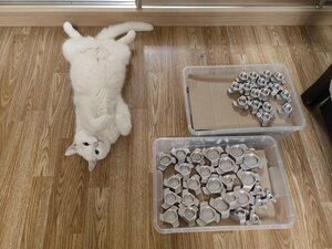 IMG_20230729_060350.jpg (2691 просмотр) <a class='original' href='./download/file.php?id=208472&mode=view' target=_blank>Загрузить оригинал (6.9 МБ)</a>