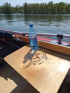 IMG_20230528_135316_514.jpg (2038 просмотров) <a class='original' href='./download/file.php?id=210356&mode=view' target=_blank>Загрузить оригинал (1.86 МБ)</a>