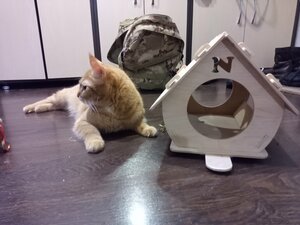 IMG_20231214_220039_793.jpg (2050 просмотров) <a class='original' href='./download/file.php?id=210362&mode=view' target=_blank>Загрузить оригинал (1.63 МБ)</a>