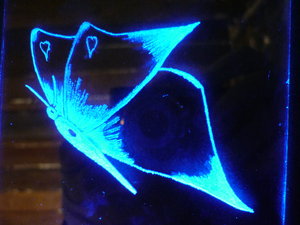 10х10 (4487 просмотров) <a class='original' href='./download/file.php?id=21131&mode=view' target=_blank>Загрузить оригинал (2.34 МБ)</a>