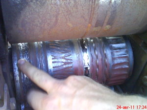 DSC00203.JPG (3112 просмотров) <a class='original' href='./download/file.php?id=21176&mode=view' target=_blank>Загрузить оригинал (194.71 КБ)</a>