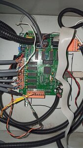 IMG_20240809_122534.jpg (1394 просмотра) <a class='original' href='./download/file.php?id=212294&mode=view' target=_blank>Загрузить оригинал (4.17 МБ)</a>