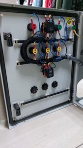 20240927_131439-1.jpg (1031 просмотр) <a class='original' href='./download/file.php?id=212550&mode=view' target=_blank>Загрузить оригинал (935.13 КБ)</a>