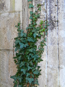 007.jpg (2205 просмотров) <a class='original' href='./download/file.php?id=21277&mode=view' target=_blank>Загрузить оригинал (114.39 КБ)</a>