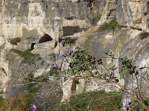 005.jpg (2205 просмотров) <a class='original' href='./download/file.php?id=21281&mode=view' target=_blank>Загрузить оригинал (110.87 КБ)</a>