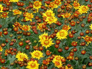 020.jpg (2201 просмотр) <a class='original' href='./download/file.php?id=21293&mode=view' target=_blank>Загрузить оригинал (142.19 КБ)</a>