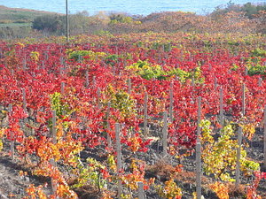 051.jpg (2189 просмотров) <a class='original' href='./download/file.php?id=21313&mode=view' target=_blank>Загрузить оригинал (119.08 КБ)</a>