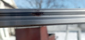 Снимок экрана от 2025-03-22 08-38-09.png (201 просмотр) <a class='original' href='./download/file.php?id=213700&mode=view' target=_blank>Загрузить оригинал (529.98 КБ)</a>