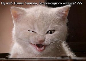 1.jpg (2073 просмотра) <a class='original' href='./download/file.php?id=21485&mode=view' target=_blank>Загрузить оригинал (69.38 КБ)</a>