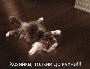 getImage (2).jpg (2394 просмотра) <a class='original' href='./download/file.php?id=21739&mode=view' target=_blank>Загрузить оригинал (33.35 КБ)</a>