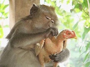 getImage (3).jpg (2398 просмотров) <a class='original' href='./download/file.php?id=21740&mode=view' target=_blank>Загрузить оригинал (64.13 КБ)</a>