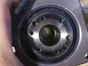 DSC_2405.jpg (2326 просмотров) <a class='original' href='./download/file.php?id=21797&mode=view' target=_blank>Загрузить оригинал (2.16 МБ)</a>