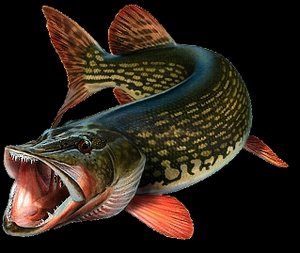 оригинал.jpg (2173 просмотра) <a class='original' href='./download/file.php?id=21893&mode=view' target=_blank>Загрузить оригинал (67.68 КБ)</a>