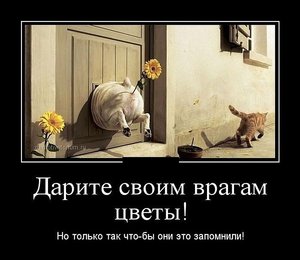 12.jpg (2354 просмотра) <a class='original' href='./download/file.php?id=21967&mode=view' target=_blank>Загрузить оригинал (64.3 КБ)</a>