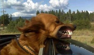 lada-auto2.jpeg (2745 просмотров) <a class='original' href='./download/file.php?id=22681&mode=view' target=_blank>Загрузить оригинал (38.41 КБ)</a>