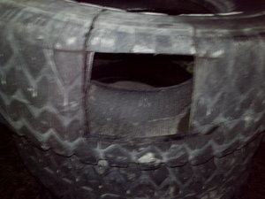 2013-12-26 07.22.28.jpg (2832 просмотра) <a class='original' href='./download/file.php?id=22836&mode=view' target=_blank>Загрузить оригинал (727.18 КБ)</a>