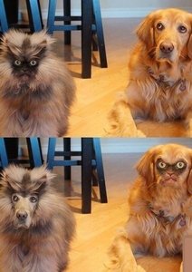 ---.jpg (2519 просмотров) <a class='original' href='./download/file.php?id=22902&mode=view' target=_blank>Загрузить оригинал (64.72 КБ)</a>