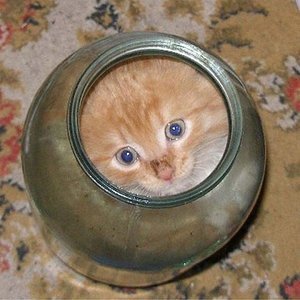 4.jpg (2648 просмотров) <a class='original' href='./download/file.php?id=23252&mode=view' target=_blank>Загрузить оригинал (42.41 КБ)</a>