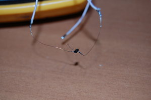 DSC_0326.JPG (2570 просмотров) <a class='original' href='./download/file.php?id=23405&mode=view' target=_blank>Загрузить оригинал (1.81 МБ)</a>